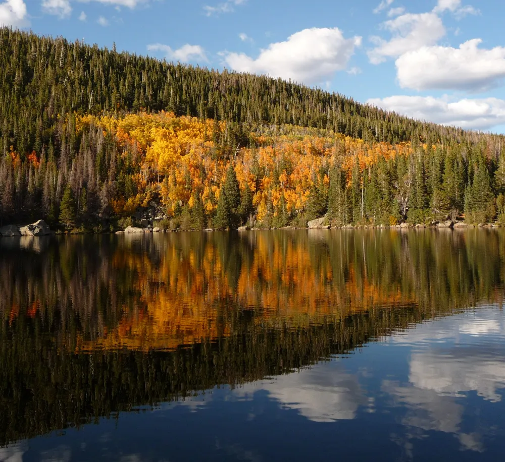 Golden aspen trees reflected in Bear Lake in autumn