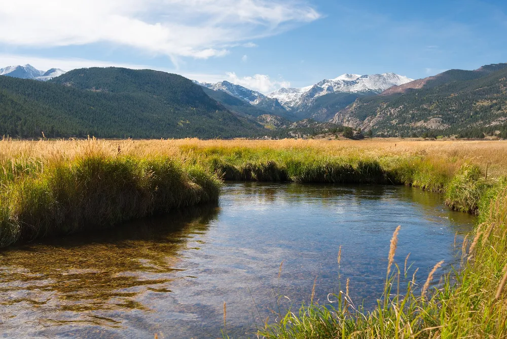 Moraine Park meadow and stream in summer